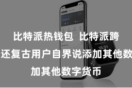 比特派热钱包  比特派跨链钱包还复古用户自界说添加其他数字货币